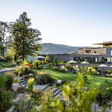 Luisenhoehe - Gesundheitsresort Schwarzwald Horben Экстерьер фото